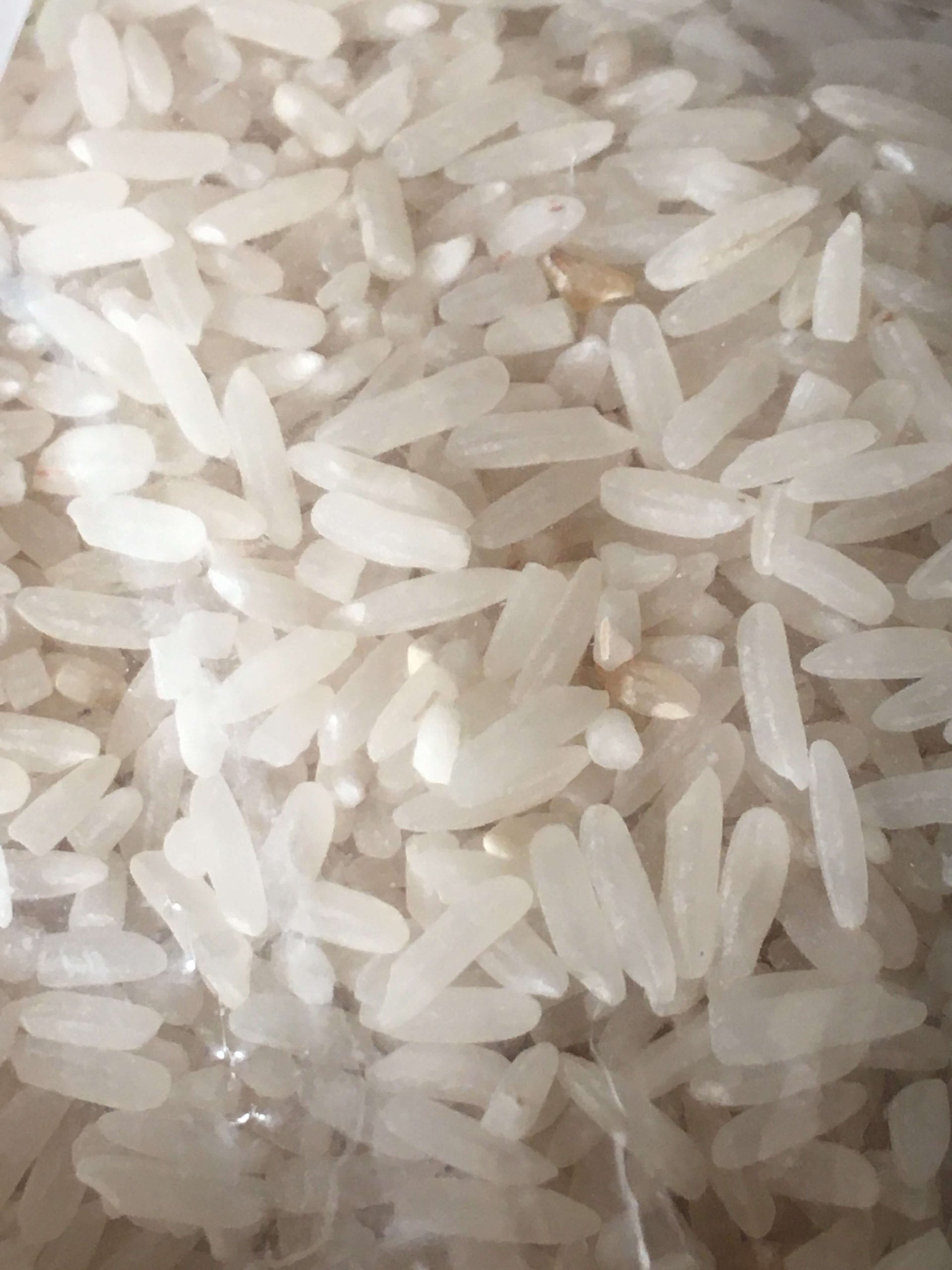 19 Best Bulking Foods for Hardgainers