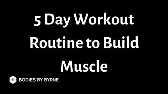 5 day workout routine to build muscle