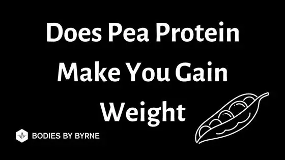 Does Pea Protein Make You Gain Weight